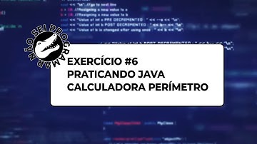 Java Exercício 06: Cálculo do Perímetro de um Círculo