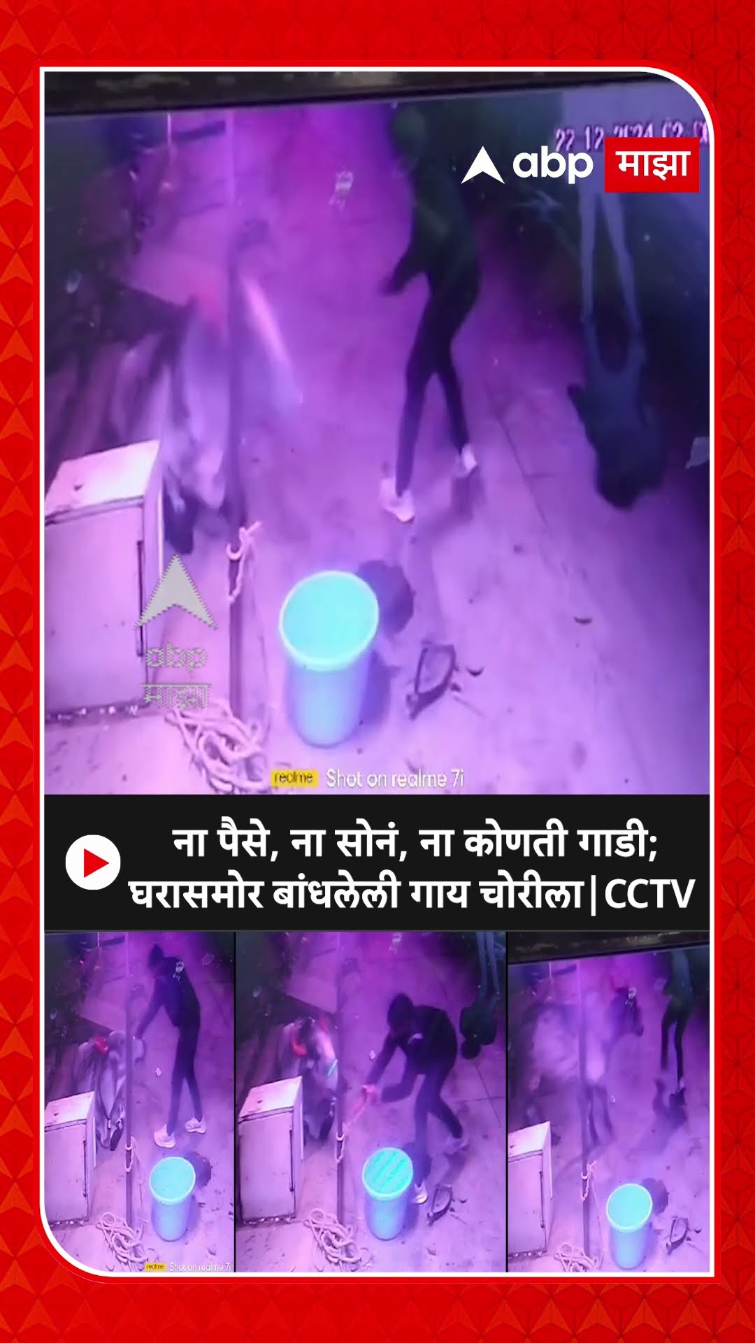 Cow Robbery : ना पैसे, ना सोनं, ना कोणती गाडी; घरासमोर बांधलेली गाय चोरीला | CCTV