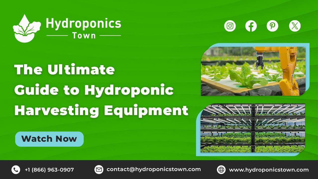 The Ultimate Guide to Hydroponic Harvesting Equipment | Hydroponics Town