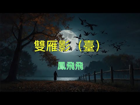 鳳飛飛 雙雁影 （臺）   （ 歌詞字幕版 ）