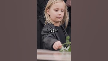 SỰ THẬT KHIẾN AI CŨNG LẠNH GÁY#shockfacts #funfacts #sốcchưa #facts #khampha #funny#sốcchưa