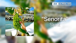 Skinz – Senorita | Lyrics (4K)