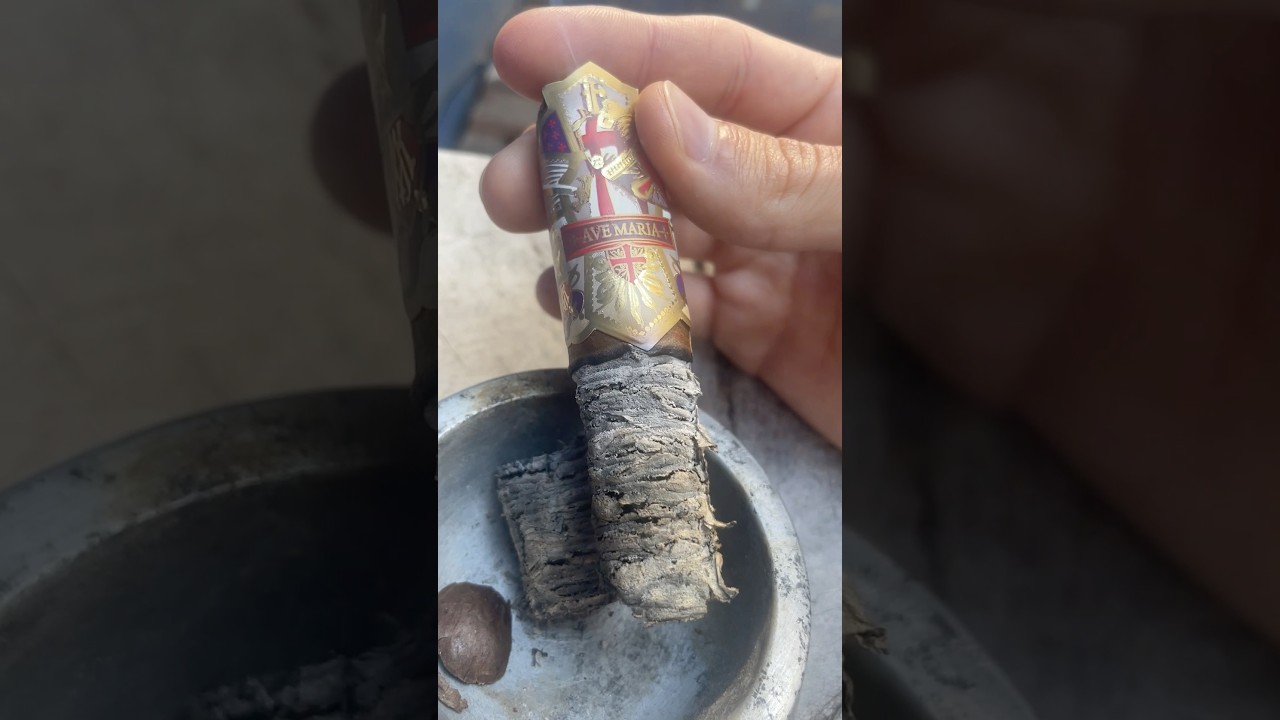 Ave Maria Lionheart (Box Press) 