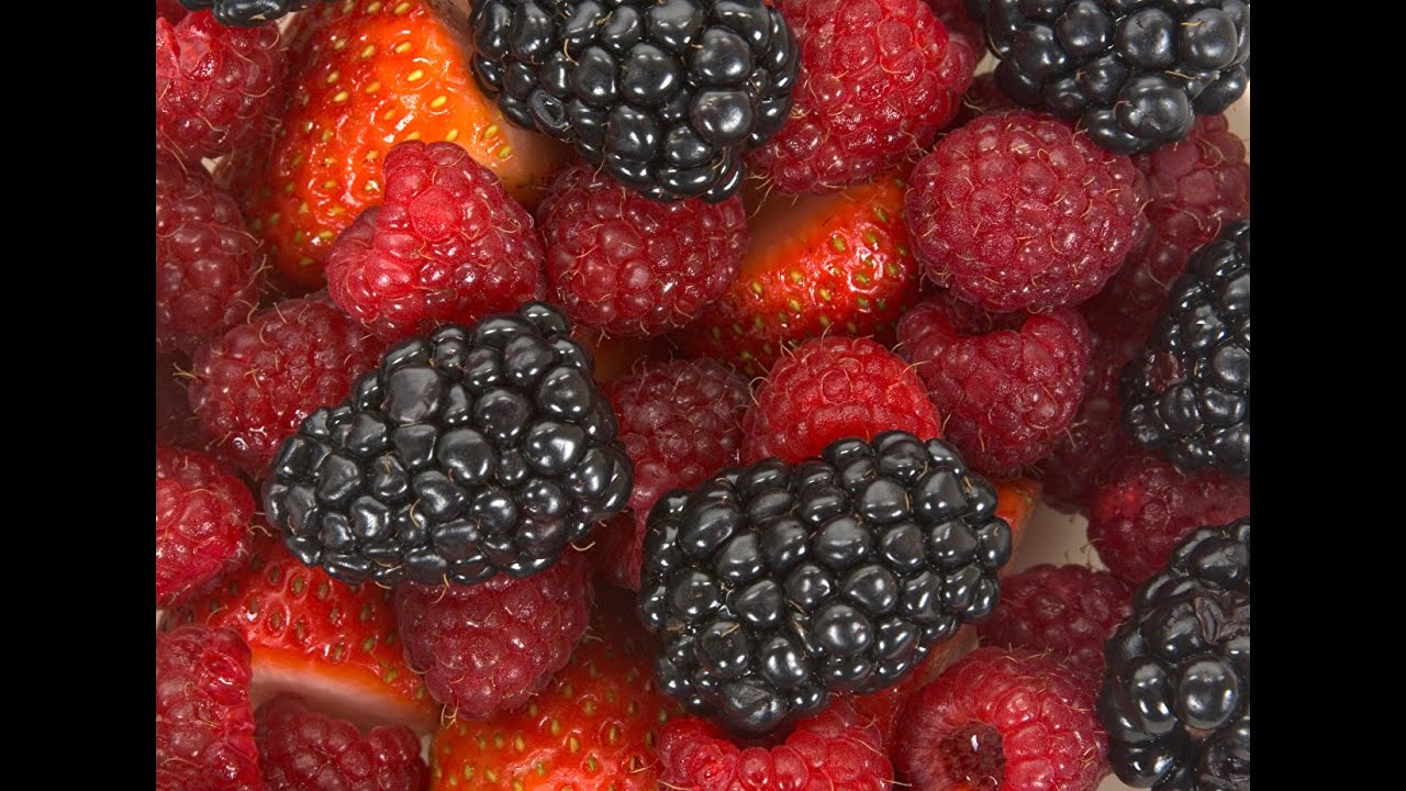 🍇MERMELADA MORA  al MICROSCOPIO 🤯🔬