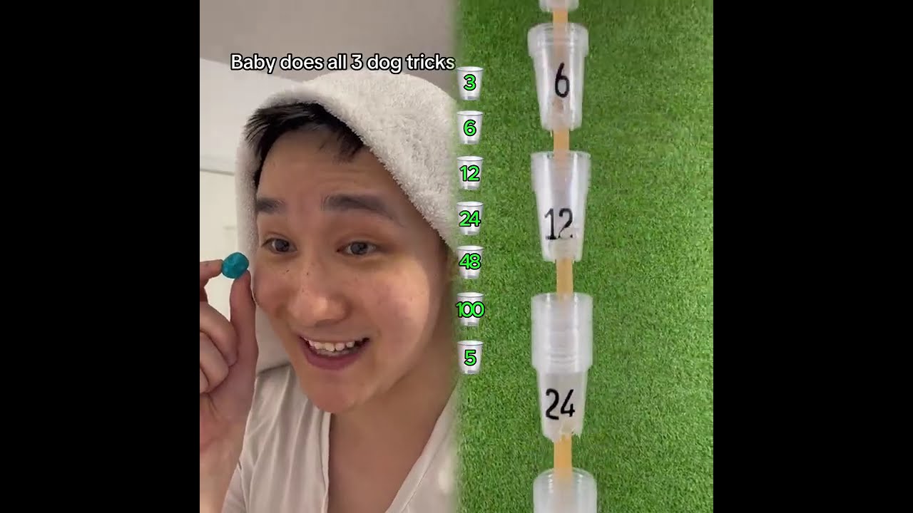 🤣👌👌👌2026 pov Must-Watch Crazy Clips Compilation #humor #fypシ #pov #fyp #foryou 😍😜