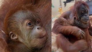 Watch Jahe & Ruhanas Adorable Mom-Baby Moments