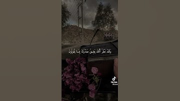 (فوربك لنسألنهم أجمعين عما كانوا يعملون)سورة الحجر☘️ إسلام صبحي