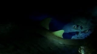 Devil´s Throat at Punta Sur Reef, Cozumel Mexico, HD