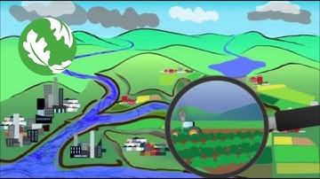 What is Floodplains by Design?