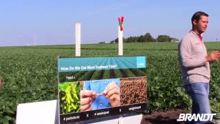BRANDT Agronomy Update: Soybeans Trial Evidence