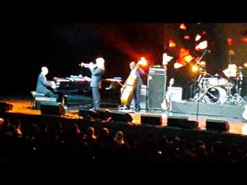 ყვითელი ფოთლები - კრის  ბოტი