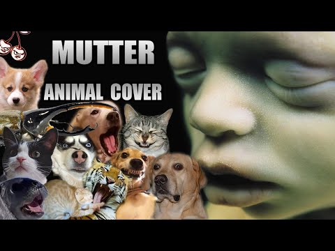 Rammstein - Mutter Animal Cover