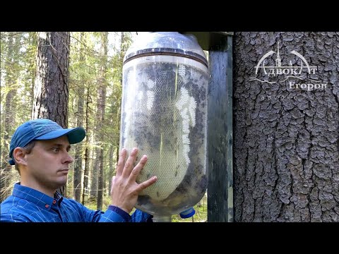 Видео: Бутилов уплътнител: производствени методи и приложение