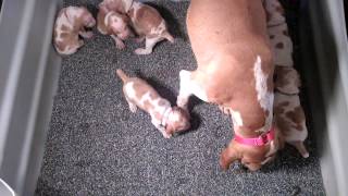 VID 20140424 145901602