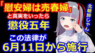 ６月１１日からK国で「慰安婦は売春婦」という真実をいうと逮捕される←ガチ