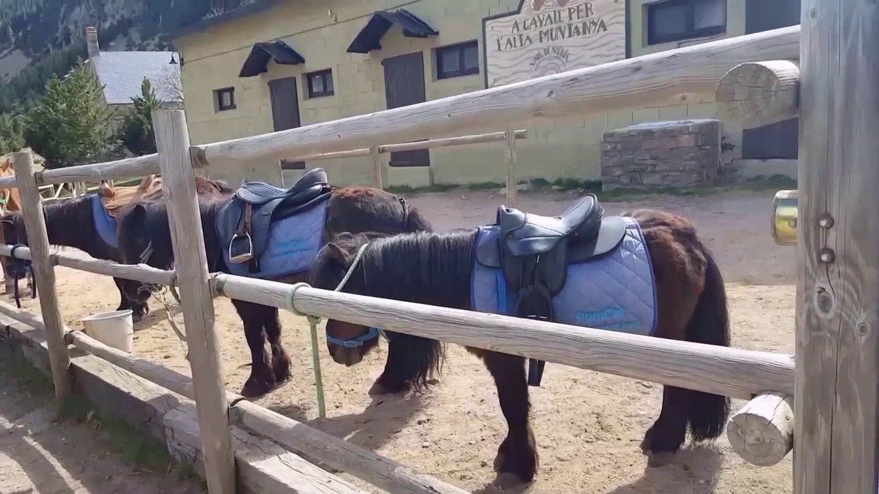 004 Excursión Vall de Nuria