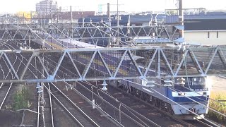 EF210-142 遅れ2059レ「西濃カンガルーライナーSS60」 清洲駅～稲沢駅間通過＆EF210-167＋コキ 列車番号不詳(遅れ貨物) 稲沢駅入線
