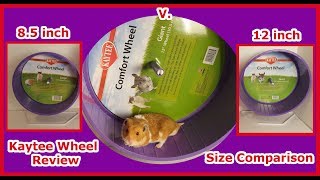 What Size Hamster Wheel? Kaytee Comfort Wheel Review and Size Comparison #ChewyInfluencer