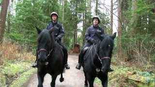 Turbo and London Join VPD Mounted Unit