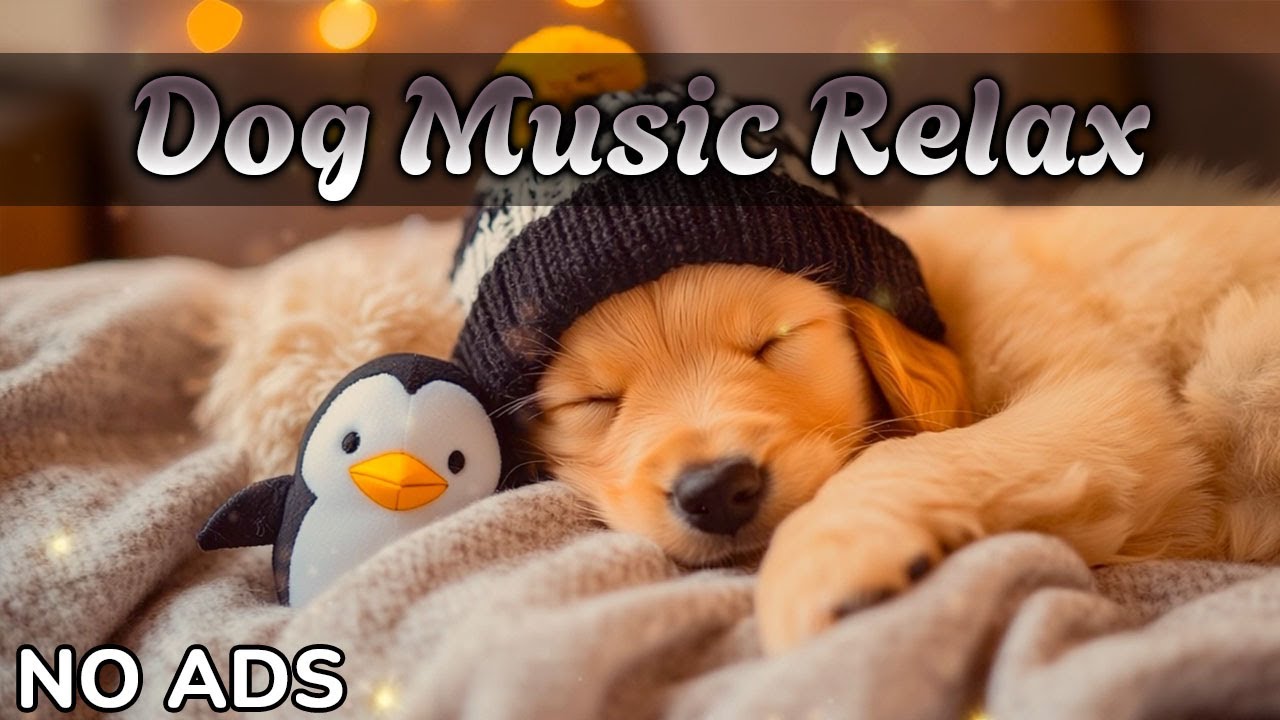 Успокаивающая музыка для собак с тревогой 💗 Звуки для расслабления и сна 🐾Без рекламы