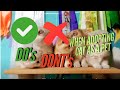 10 Things To Know Before Adopting Cat Cat Catlover Tips 10 Things To Know Before Adopting Cat Cat Catlover Tips