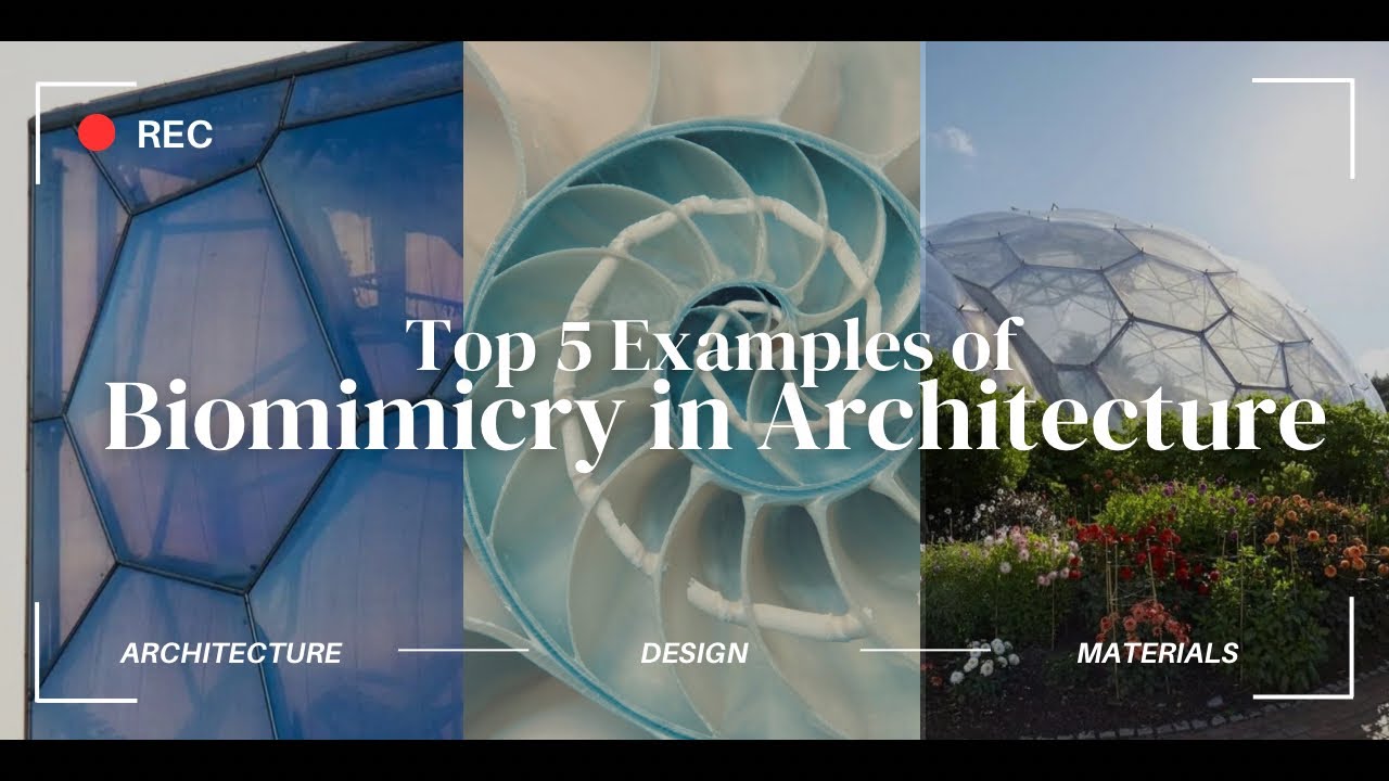 Top 5 Stunning Examples of Biomimicry in Architecture 