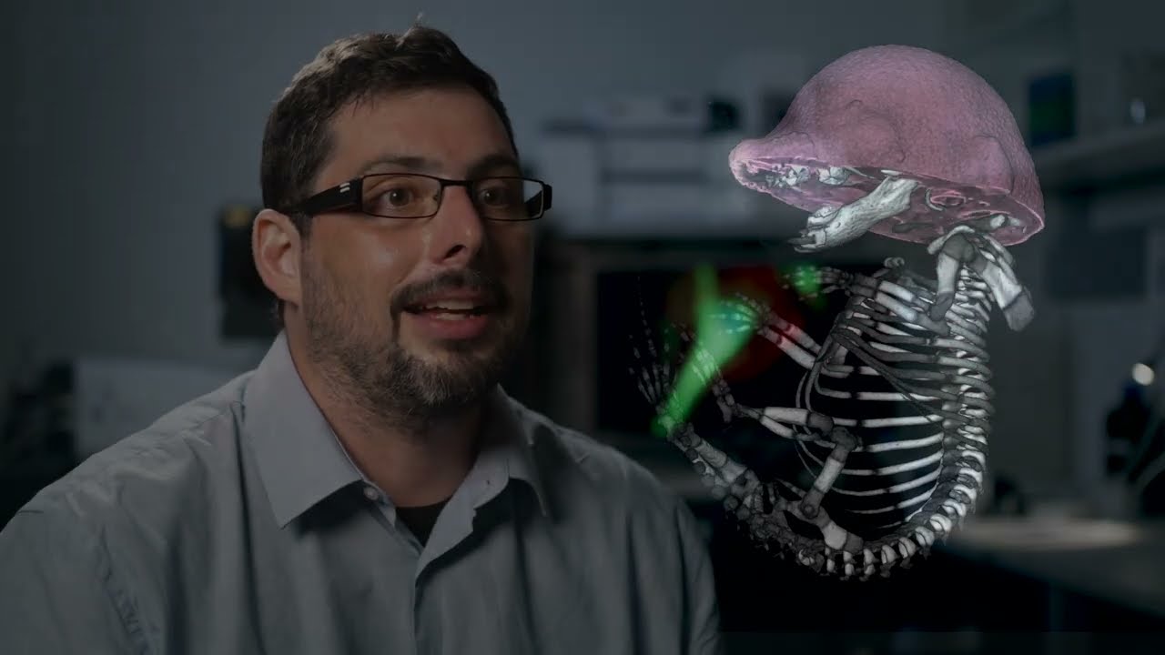 VetCore, University of Veterinary Medicine uses Amira Software