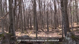 How Carrying Capacity Affects Your Deer Hunting