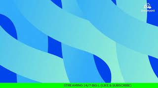 (BIG L)| Stream #001 Bearded Dragon