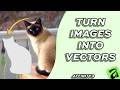 How to Convert Pixel Selections to Vectors in Affinity 3