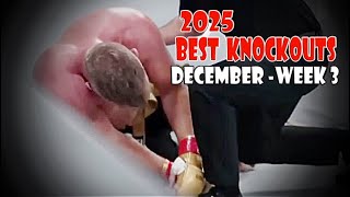 Best Mma Knockouts Of December 2025  Week 3