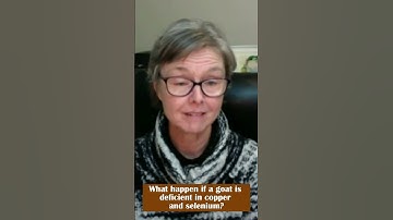 What happen if a goat is deficient in copper and selenium?