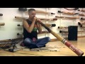Quinto Antonio Didgeridoo