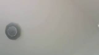 Download Lagu konco turu no vocal MP3