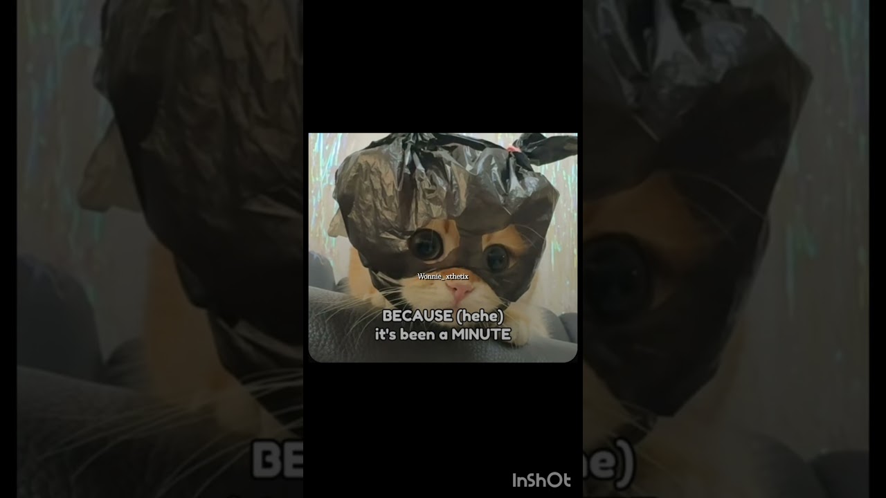 send this to your best friend💕 