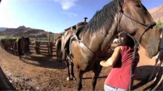 Red Cliffs Lodge - Best Weekend Getaway - Utah 2010