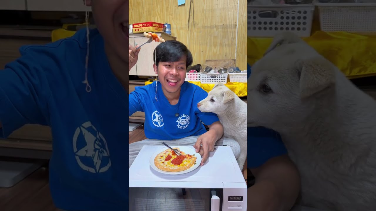 តាមការសន្យា200k🔥😂ពូចិត្រFunny 