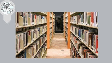 Por Que as Bibliotecas são Lentas? O Fator da Logística Interna