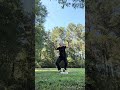 Bottle flip challenge
