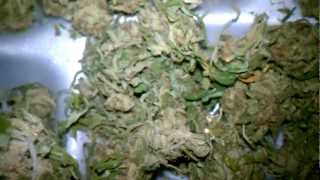 BHO run materials #2