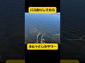 ヌルッとしたやつ…#shorts #バス釣り
