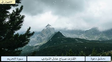القارئ صباح عادل الذوادي | ماتيسر من سورة التحريم | تلاوة خاشعة بصوت جميل وهادئ | قناة دمشق دعوة