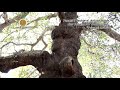 Panairi Veshjeve,Artizanateve dhe Ushqimeve - PRIZRENI 2018