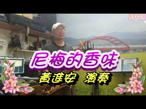 尼梅的香味_黃進安 TnSax 演奏，快官次中音視訊班教學歌曲