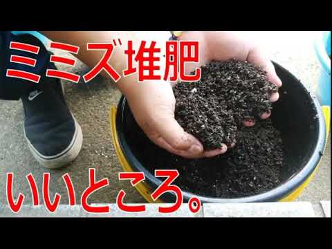 ミミズ堆肥でよくある10の疑問と失敗しない始め方