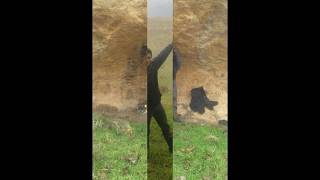 Şevamın Beyte Bu Roş