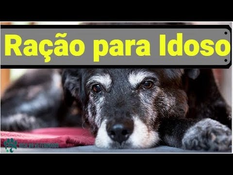 Vídeo: Quando os gatinhos param de amamentar?