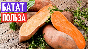 Батат польза для организма I Herbals-ua.com