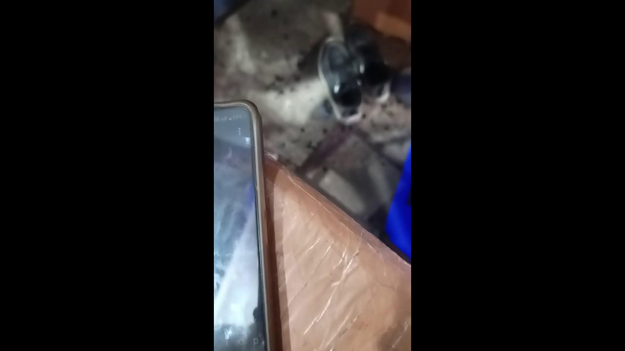 Mahesh Kumar Bihar  is live!