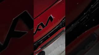 How to install Blackout Logo Overlay on a Kia Stinger GT